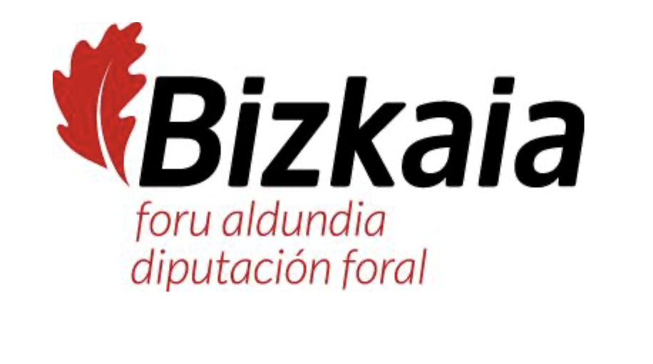 Bizkaia Foru Aldundia - Diputación Foral